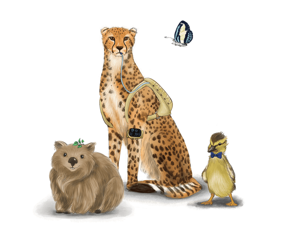 leopard_reforms