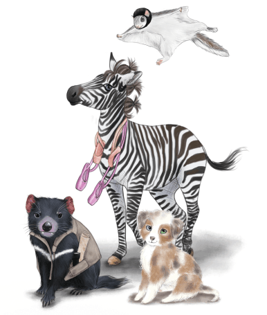 zebra_group